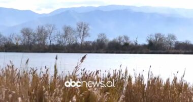 Gurët e shtëpisë time/ Shega lezhjane, ishulli i mrekullive!