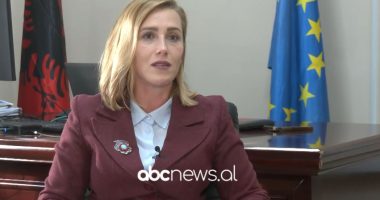 Punësimi i të rinjve, “Marrëveshje me vendet e BE për punësim qarkullues”, Manjani: Problem kryesor, forca punëtore e kualifikuar