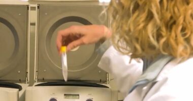 Misteri i spermës…me kancer/ Në Shqipëri fertilizimi in vitro bëhet vetëm me dhurues prindër