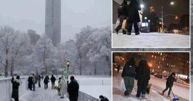 New York goditet nga stuhia dimërore ‘Devin’, anulohen mbi 1500 fluturime