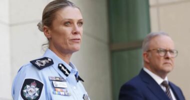 Australia ndryshon rregullat për blerjen e armëve