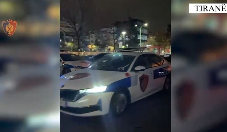 Dhunë në familje  plagosje e vjedhje  Arrestohen 4 persona në Tiranë