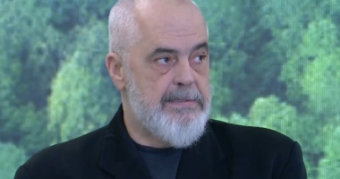 Rama: Monitorim me dronë të pyjeve. Kryeministri: Të shtojmë sipërfaqet e pyllëzuara