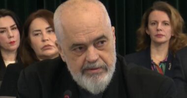 Rama: Shqipëria me qasje të hapur ndaj informimit. Kryeministri me partnerë europianë: Jemi mbi mesataren rajonale