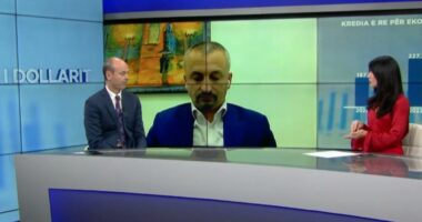 “Inflacioni, objektiv për gjashtë mujorin e parë të 2026”, Themeli: Sektori i shërbimeve, një ndër më të financuarit