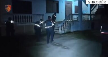 Përshtati banesën për kultivimin e lëndëve narkotike, arrestohet 22-vjeçari në Shkodër, në pranga edhe 1 punonjës i OSHEE
