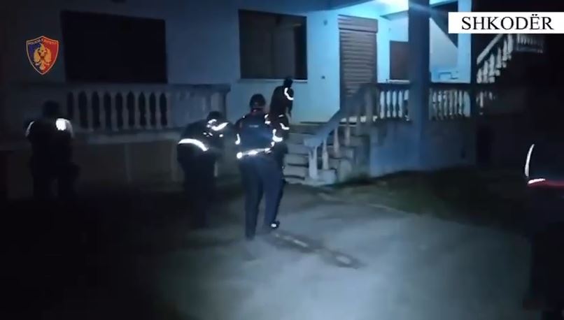 Përshtati banesën për kultivimin e lëndëve narkotike  arrestohet 22 vjeçari në Shkodër  në pranga edhe 1 punonjës i OSHEE