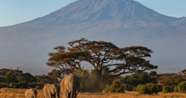 Rrëzohet helikopteri në majën më të lartë të Afrikës, humbin jetën 5 persona
