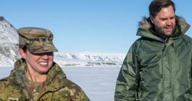 Danimarka paralajmëron për rrezikun e SHBA-ve ndaj aleatëve