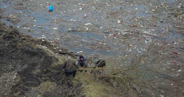 Sllovaki, vullnetarët pastrojnë mbeturinat e grumbulluara në digën e Ruzinit