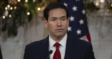 SHBA shpall “Clan del Golfo” të Kolumbisë “organizatë terroriste të huaj”