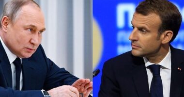 Franca mirëpret gatishmërinë e Putin për të zhvilluar bisedime me Macron