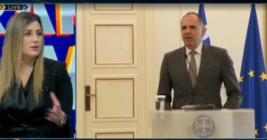 “PD përdor gjuhë denigruese”/ Gjyli: Berisha “mbështet” Lapajn për të larguar vëmendjen nga Salianji