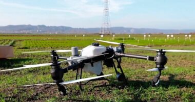 Dronët bujqësorë/ Projekti për monitorimin nis në Shkodër dhe Fushë Krujë