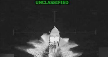 SHBA godet dy anije në Paqësor, 5 persona të vrarë