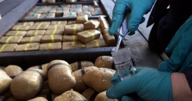 Greqia godet një rrjet ndërkombëtar të trafikut të kokainës