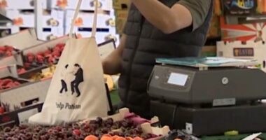 Përcaktuan çmimet në dëm të fermerëve/ Autoriteti i konkurencës gjobit 6 kompani fruta-perimesh