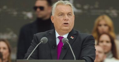Hungaria “mbron” Serbinë/ Orban: Beogradi është aset për unionin