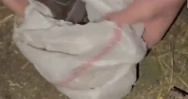 Në makinë me armë/ Pranga dy personave në Tiranë, çfarë iu gjetën pas kontrollit në banesë