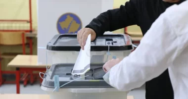 “Vetëvendosja, sekt për të vjedhur votat e Diasporës”/ LDK akuzon Kurtin: Ka kaluar në histeri politike!