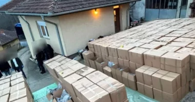 Sekuestrohen pesë tonë kanabis në Serbi, vlera në treg rreth 10 milionë euro