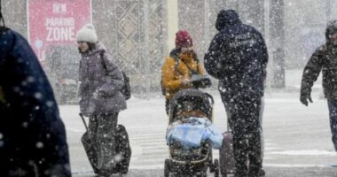 Dimri si armë lufte, strategjia e Rusisë kundër Ukrainës