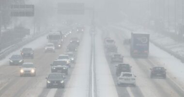 Tre të vdekur nga moti i keq në Gjermani, mbyllen disa shkolla