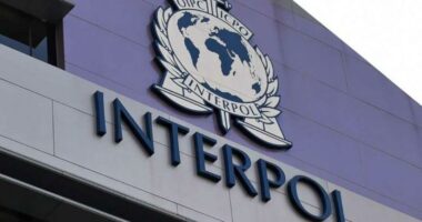 Krijoi kushtet për vrasje/ Ekstradohet 37-vjeçari nga Zvicra, pjesëtar i një grupi kriminal