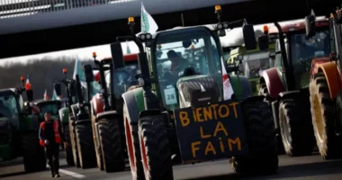 Fermerët francezë vazhdojnë protestat kundër marrëveshjes BE-Mercosur