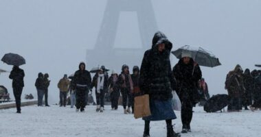 Bllokim trafiku nga dëbora në Paris, raportohet për të paktën 5 viktima