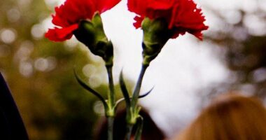 “21 Janari”/ Rama: 15 vite nga krimi shtetëror, 4 të vrarë nuk prehen dot në paqe dhe drejtësia i ngjan një breshke që lutet për harresë