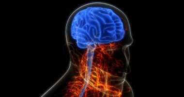 Gjermani, legalizimi i kanabisit dhe shtimi i psikozave