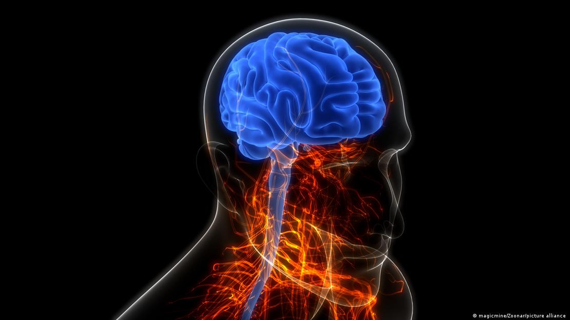 Gjermani  legalizimi i kanabisit dhe shtimi i psikozave