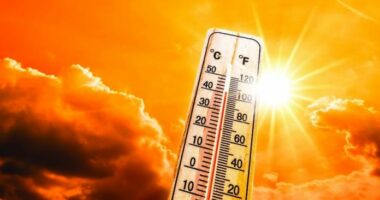 Viti 2025, më i nxehtë i regjistruar ndonjëherë në Norvegji