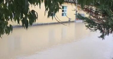 Lumi Vjosa del nga shtrati, përmbyten shtëpi e toka bujqësore. 27 familje të rrethuara nga uji në Ferras