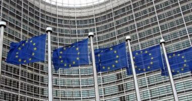 Parlamenti Evropian pezullon punën për zbatimin e marrëveshjes tregtare BE–SHBA