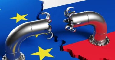 BE miraton ndalimin e importeve të gazit rus