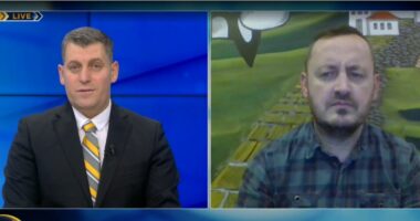 “Basha e ka ‘shitur’ Berishën për 21 janarin”, Mahmutaj: PD është katandisur si parti e dorës së tretë