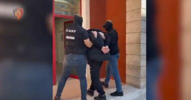 Ishin në kërkim ndërkombëtar për grup kriminal dhe trafikim/ Arrestohen dy të rinj, pritet ekstradimi në Kosovë