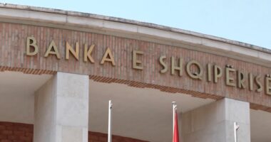 Transaksionet në euro nivele rekord/ BSH: Dyfishohet vlera e tyre ne 4 vitet e fundit