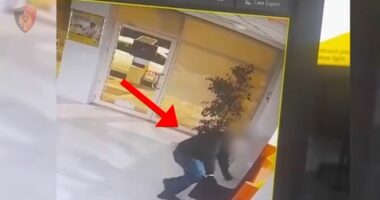 Zbardhen 6 raste vjedhjesh në Tiranë, arrestohet autori i dyshuar