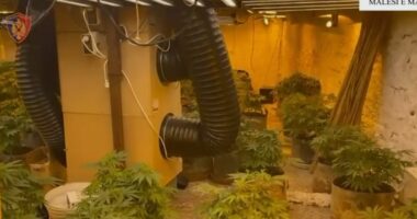 Pamjet e aksionit/ Goditen “shtëpitë e barit” në Malësi të Madhe, 5 në pranga