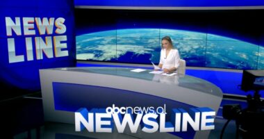 News Line me Fabiola Hoxha, (31/01/2026)