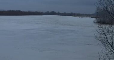 Vjosa në nivel kritik, përmbyten rreth 200 hektarë tokë bujqësore në qarkun Fier