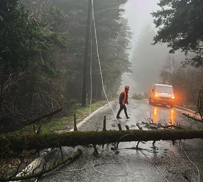 Moti i keq rrëzon pemët në Llogara  bllokohet qarkullimi rrugor