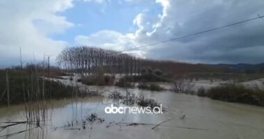 VIDEO/ Ujërat e Vjosës rrezikojnë bllokimin e autostradës në Mallakastër
