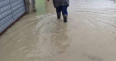 Vërshimi i Vjosës/ Rreth 700 hektarë tokë nën ujë, dhjetëra banesa të përmbytura në Fier dhe Mallakastër