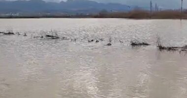 Kurbini, vështirësi hidrike/ Çarja e argjinaturës së Drojës lë nën ujë dhjetëra banesa e sipërfaqe