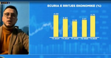 Pritshmëritë për ekonominë në 2026/ Eksperti: Rritja e pagave dhe pensioneve ndikim pozitiv në konsum, pritet që…