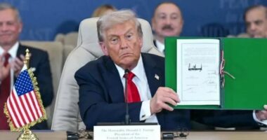 Norvegjia e Suedia kundër Bordit amerikan të Paqes, Italia drejt refuzimit